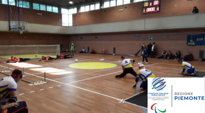 XXIII Torneo Internazionale di Torball Città di Torino, Circoscrizione VIII