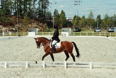 Para equitazione: a Deauville lo CPEDI3*